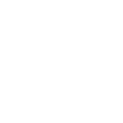 支付选项